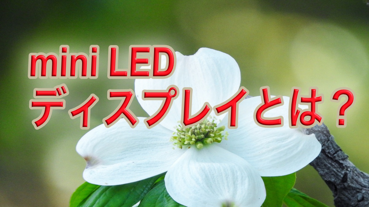 mini LED